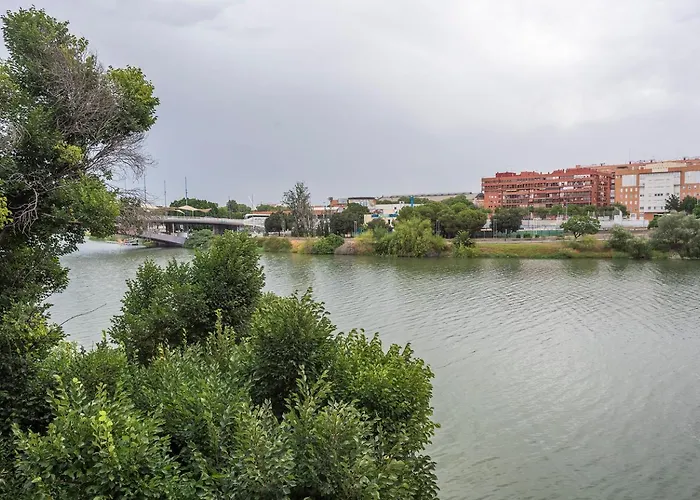 Alohamundi Castilla V-Vi