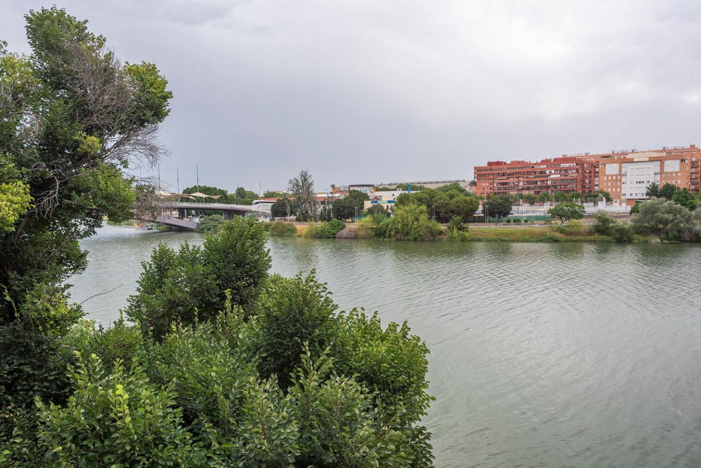 Appartement Alohamundi Castilla V-vi
